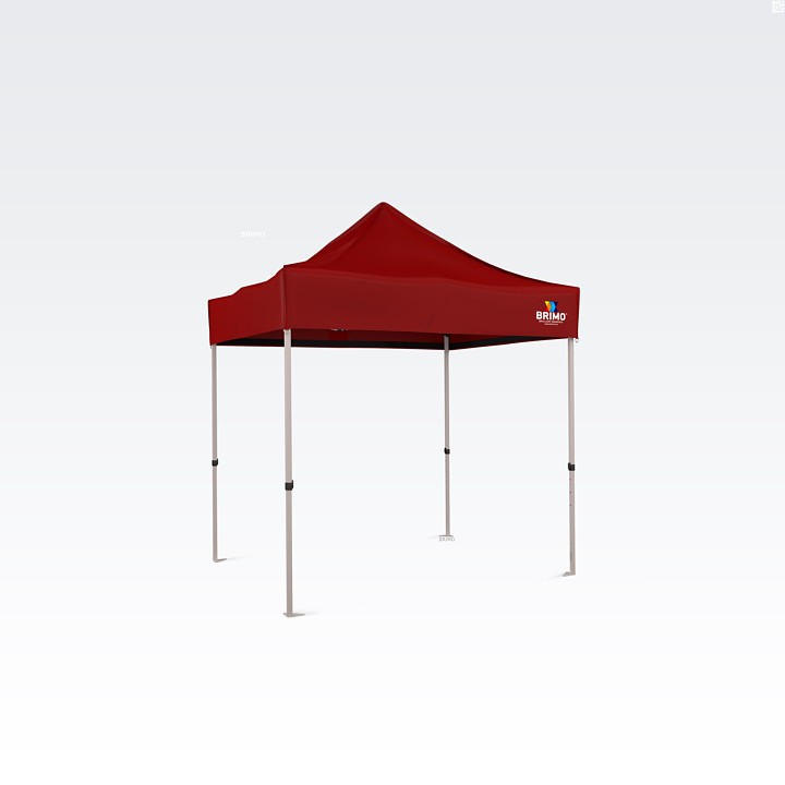 Tente de fête publicitaire 2X2