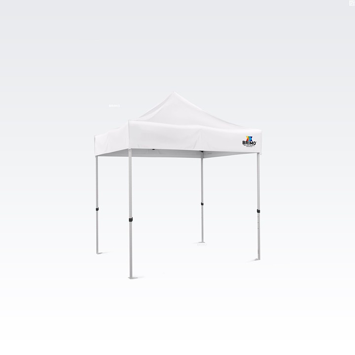 Tente de fête à vendre et impression 2X2